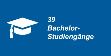 41 Bachelor-Studiengänge 